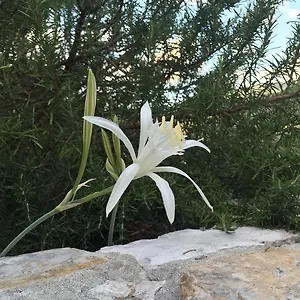 Ca' Di Bianca Maison d'hôtes Moneglia